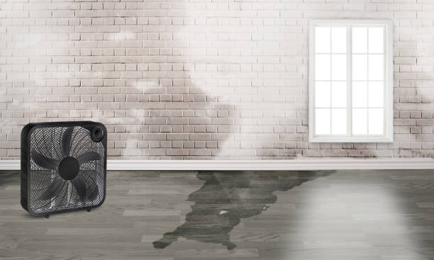 Best Residential water damage restoration  in Martindale, TX