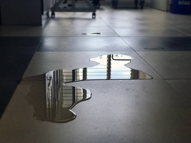 Best Water damage contractors near me  in Martindale, TX