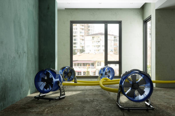 Best Ceiling water damage repair  in Martindale, TX